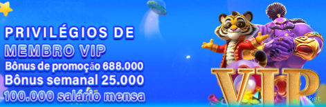 VIP Rewards System